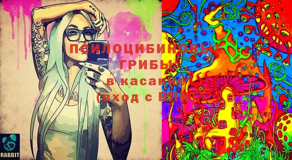 хмурый Богородицк