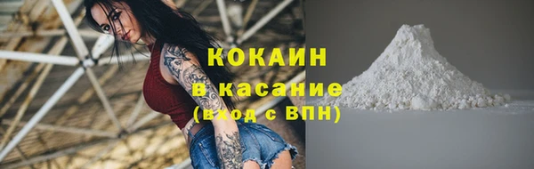 прущий лед Богданович