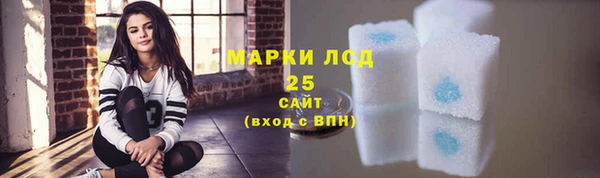 прущий лед Богданович