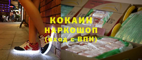 прущий лед Богданович