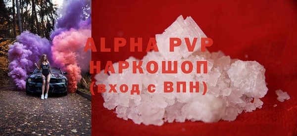 прущий лед Богданович
